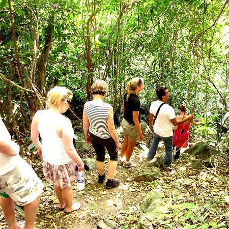 Whisper Nature Bungalow & Resort Dong Khe Sau Ngoại thất bức ảnh