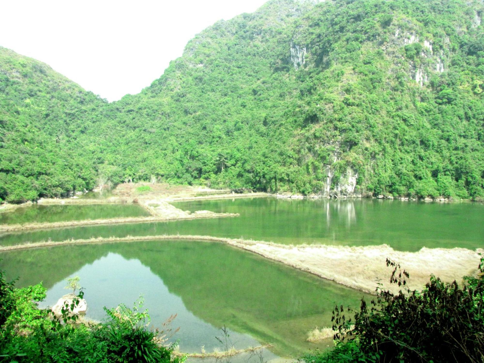 Whisper Nature Bungalow & Resort Dong Khe Sau Ngoại thất bức ảnh